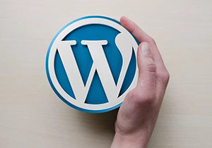 best cms for websites wordpress